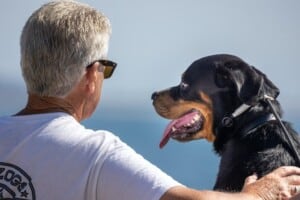 How Pets Can Help Improve the Overall Health of Seniors